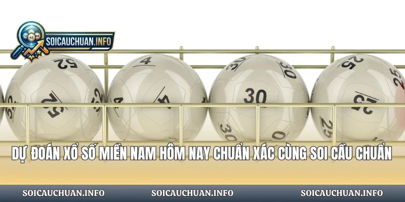 Dự Đoán Xổ Số Miền Nam Hôm Nay