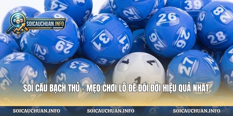 Soi Cầu Bạch Thủ