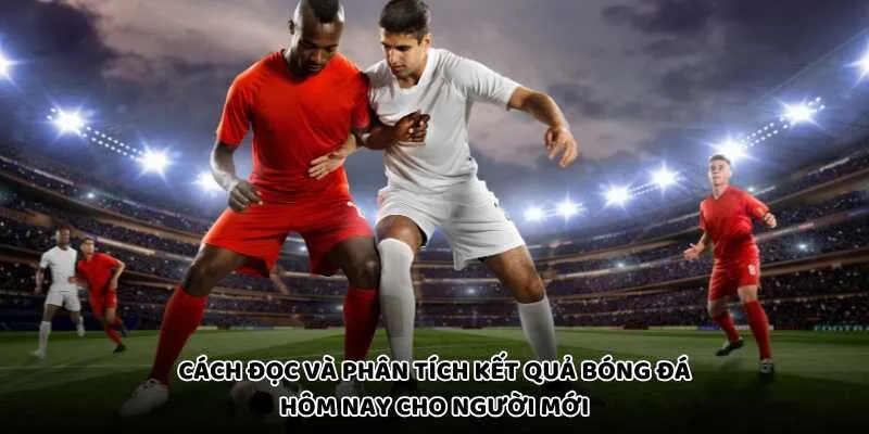 Cách Đọc Và Phân Tích Kết Quả Bóng Đá Hôm Nay Cho Người Mới